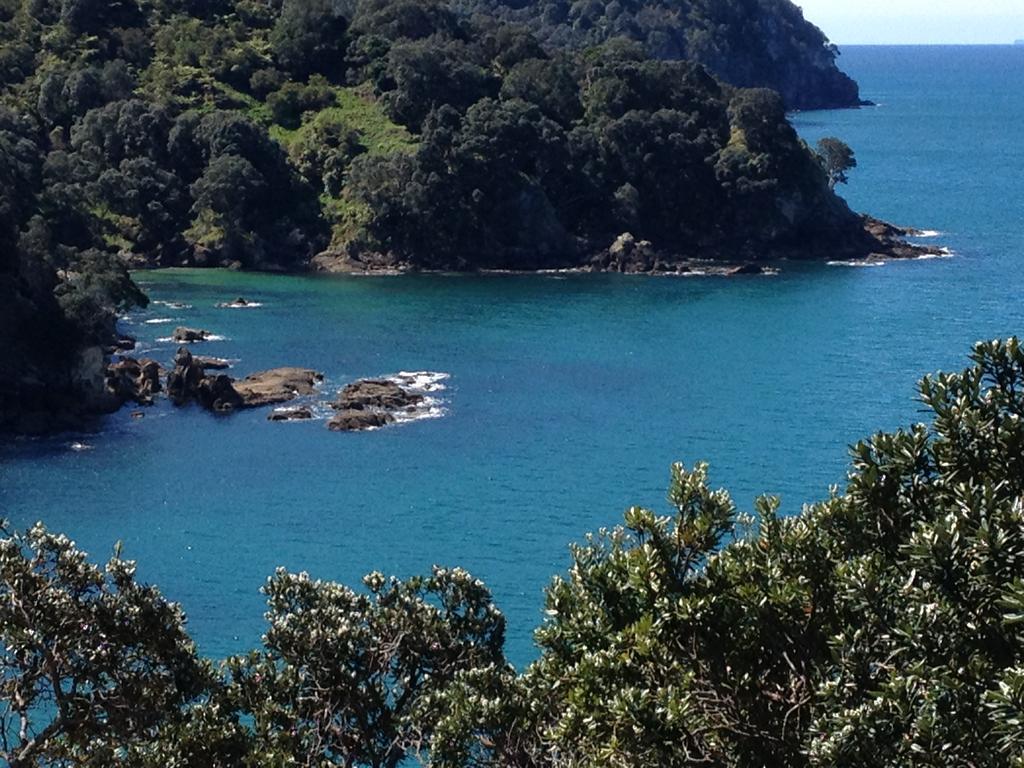 Waihi Beach Getaway-Studio, Ensuite & Private Deck Eksteriør bilde